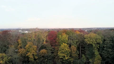 Ring necked parakeets flying in the sky in the Woluwe park in Brussels, Stock Footage 164961423