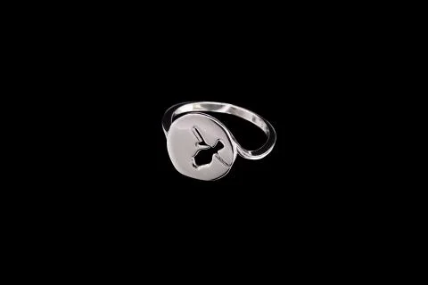 Ring with a pattern on a black background Stock Photos