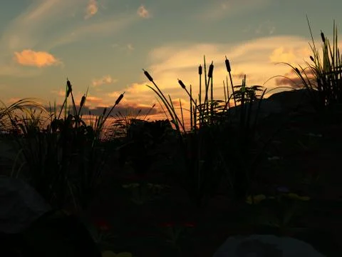 Ring Pattern Stock Illustration