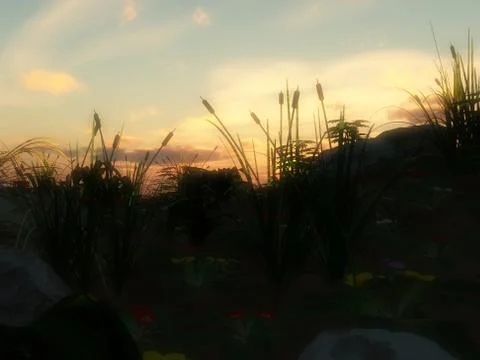 Ring Pattern Stock Illustration