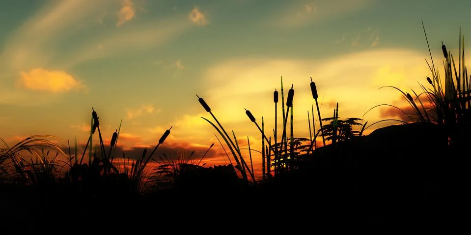 Ring Pattern Stock Illustration