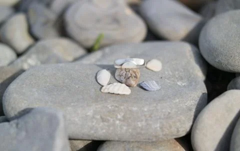 A ring of pebbles and small shell shutters on a large stone Stock Photos