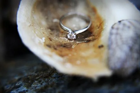 The ring Stock Photos