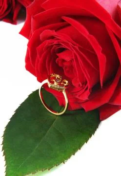 Ring with rose Stock Photos