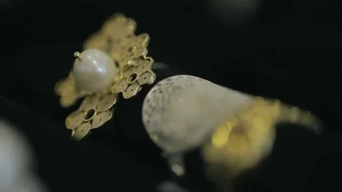 Ring showcase 스톡 동영상 73186125