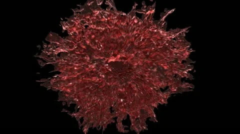 Ring splash with alpha channel 動画素材 22009205