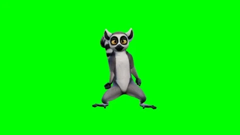 Ring-tailed lemur character performing a spooky thriller zombie dance. 4K 스톡 동영상 348006169