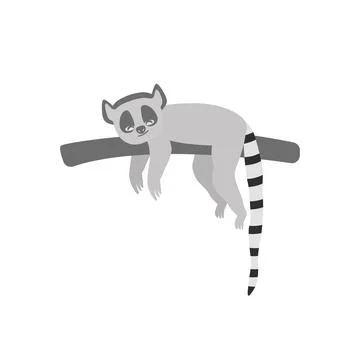 Ring-tailed lemur. Isolated wild ape with long striped tail. Cute primate mam Stock Illustration