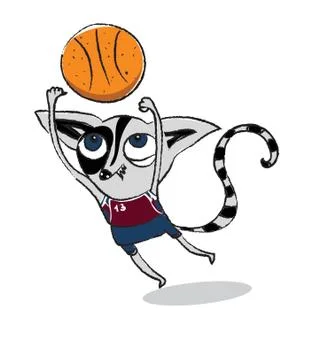 Ring-tailed lemur playing basket ball 스톡 일러스트