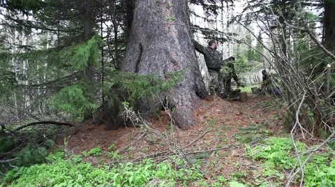 Ringing Cedars of Russia Stock Footage 43750848