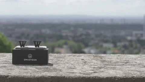 Rings in box with Vienna in the background Stock Footage 171326763