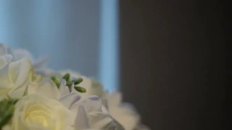 Rings on flowers Stock Footage 54485429