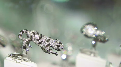 Rings Stock Footage 554607