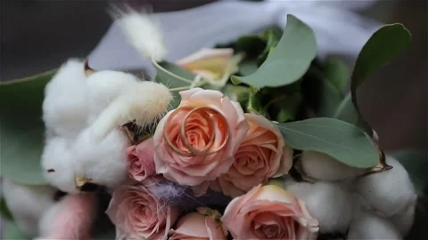 Rings Stock Footage 146574227