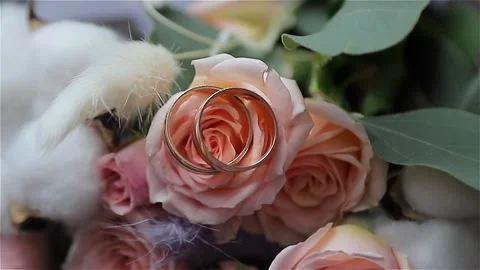 Rings Stock Footage 146574229