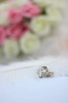 Rings on notebook Stock Photos