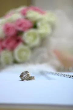 Rings on notebook Stock Photos