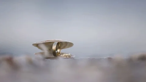 Rings in ocean shells Stock Footage 89893764