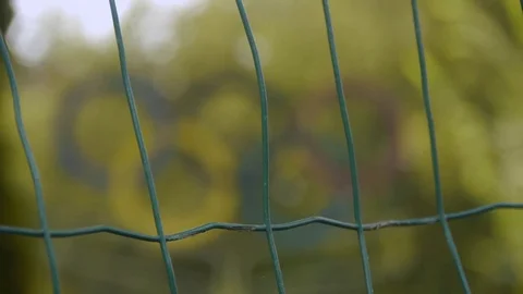 The rings of the Olympic Games are undemonstrable Stock Footage 83099952