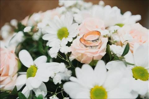 Rings Stock Photos