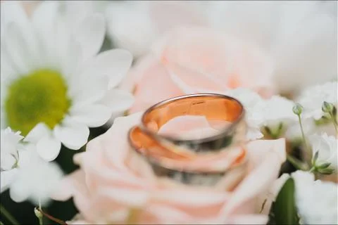 Rings Stock Photos