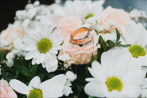 Rings Stock Photos