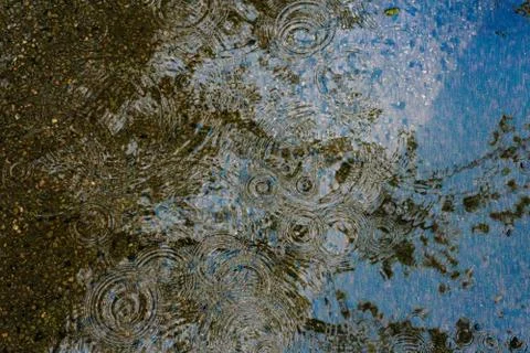 Rings in a Puddle Foto stock