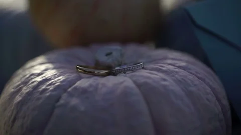 Rings on pumpkins Video stock 73116123