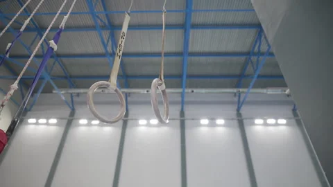 Rings represent preparation training and development Stock Footage 316752098