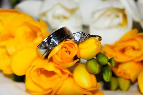 Rings on roses Stock Photos