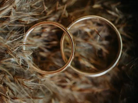 Rings set on twig as a background Stock Photos