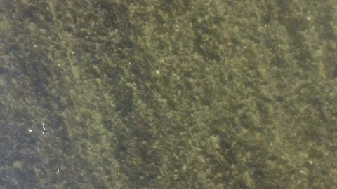 Rinning water Video stock 169688294