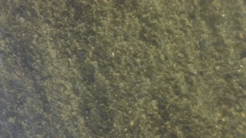 Rinning water Video stock 169688330