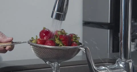 Rinse Strawberries in the Kitchen Stock Footage 241056506