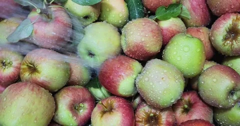 Rinsing Apples in the Sink Stock Footage 288861484