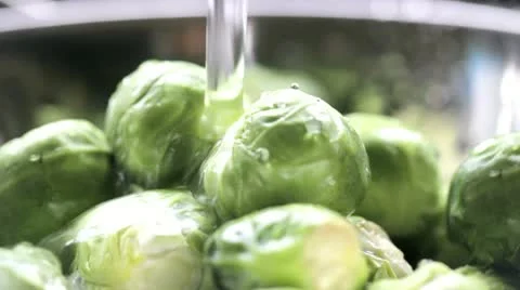 Rinsing Sprouts Video stock 20528638