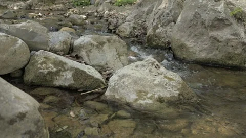 Rio 2 Stock-Footage 242875319