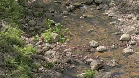 Rio 7 Stock-Footage 242875290