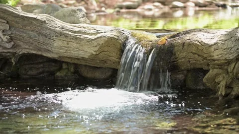 Rio 8 Stock-Footage 242875339