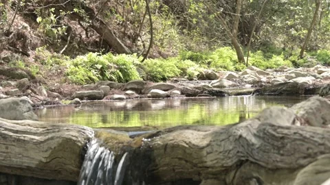 Rio 9 Stock-Footage 242874697