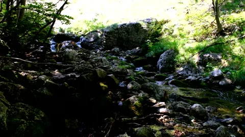 Rio arno stream in the mountain area of gran sasso italy Video stock 136824579