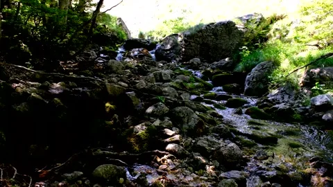 Rio arno stream in the mountain area of gran sasso italy Video stock 136824589