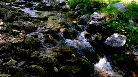 Rio arno stream in the mountain area of gran sasso italy Video stock 136824600