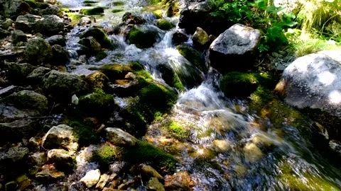 Rio arno stream in the mountain area of gran sasso italy Stock-Footage 136824612