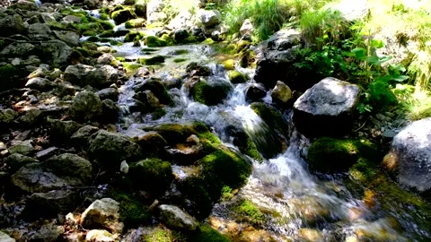 Rio arno stream in the mountain area of gran sasso italy Video stock 136824624
