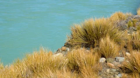 Rio Baker River: Turquoise Treasure and Steppe Flora Stock Footage 340551393
