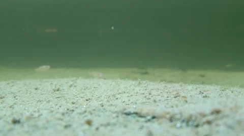 Rio Blanco Upper Fall 動画素材 64291219