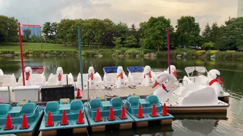 Rio boats Stock Footage 206794293