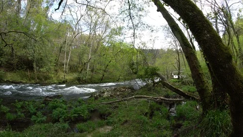Rio bosque galicia 動画素材 107762536