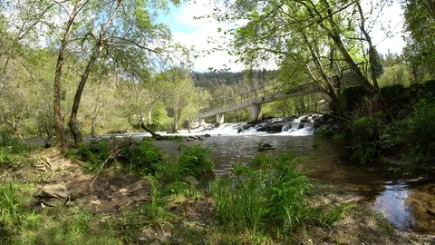 Rio bosque presa galicia Stock Footage